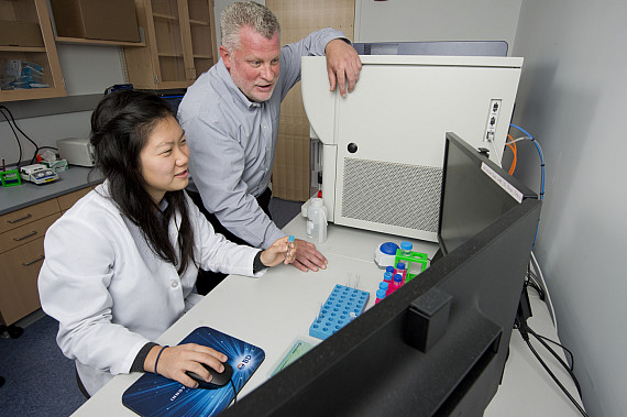 October 17, 2014 - Ellie Shin, S'16/SSH'16, researches in the lab of Jon Tilly, right, Chair of the Biology Department in the College of ...